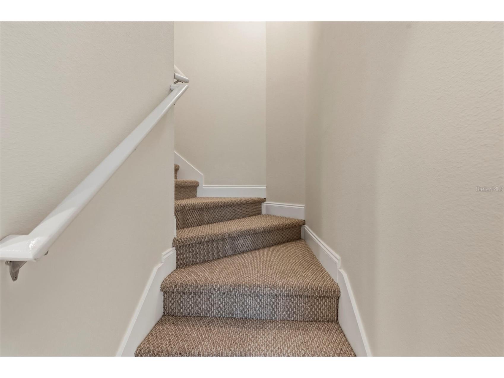 10648 Gooseberry Court Trinity FL 34655 TB8477707 image23