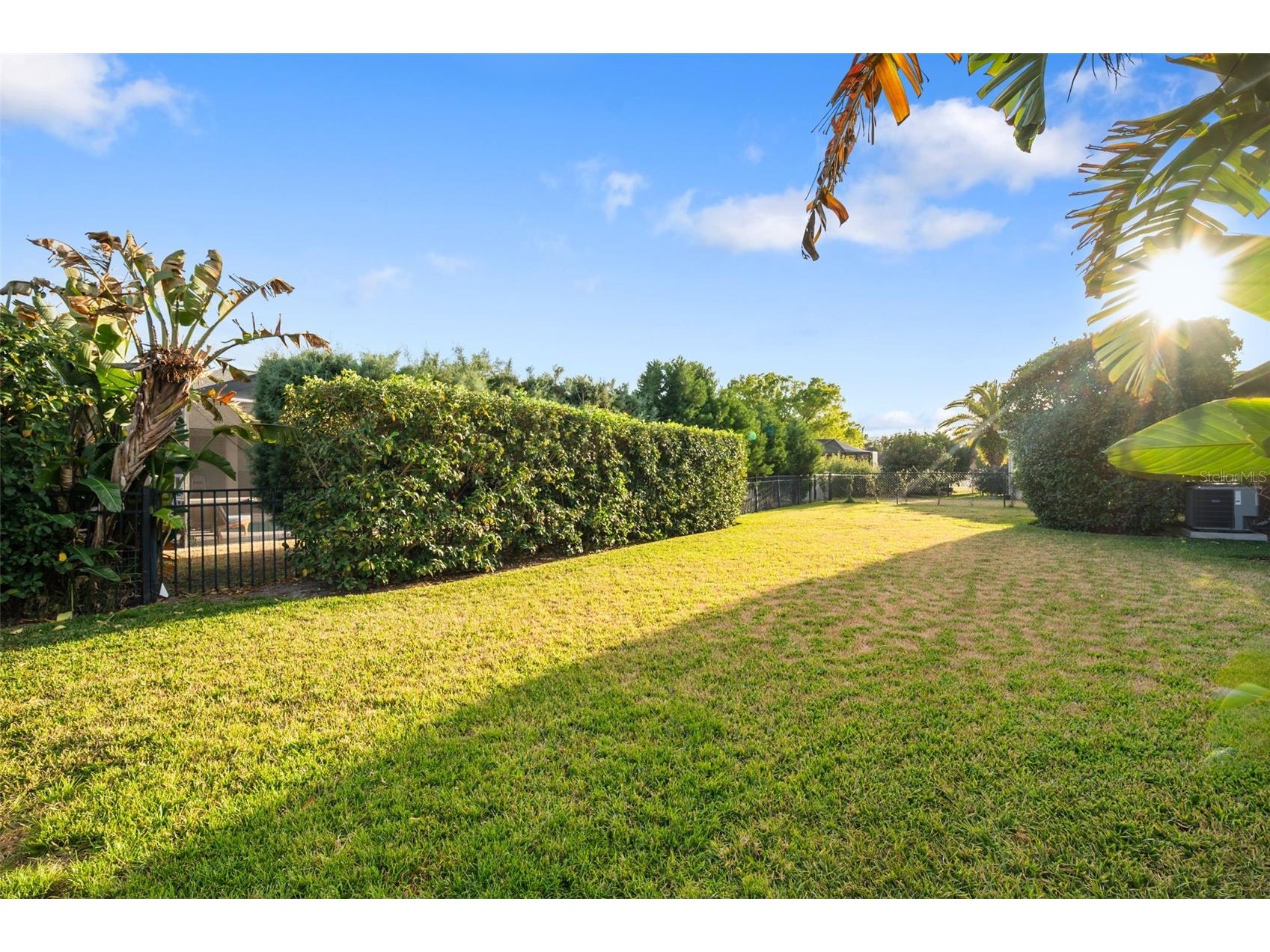 10648 Gooseberry Court Trinity FL 34655 TB8477707 image28