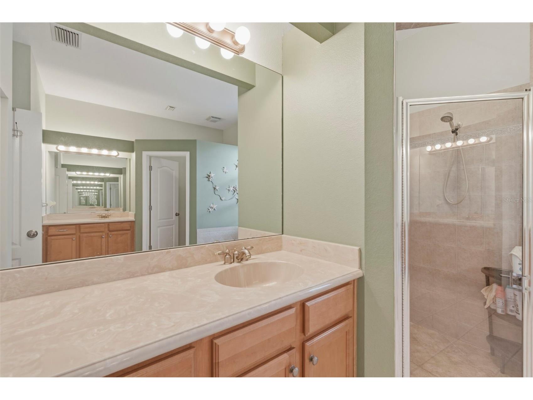 10648 Gooseberry Court Trinity FL 34655 TB8477707 image7