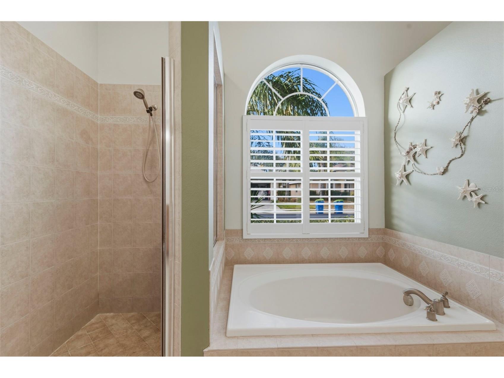 10648 Gooseberry Court Trinity FL 34655 TB8477707 image8