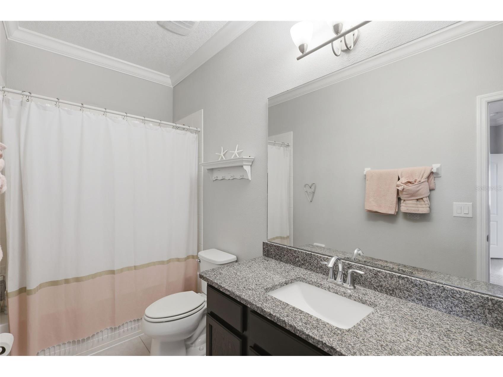 1065 Calla Lily Cove Oviedo FL 32766 O6409816 image42