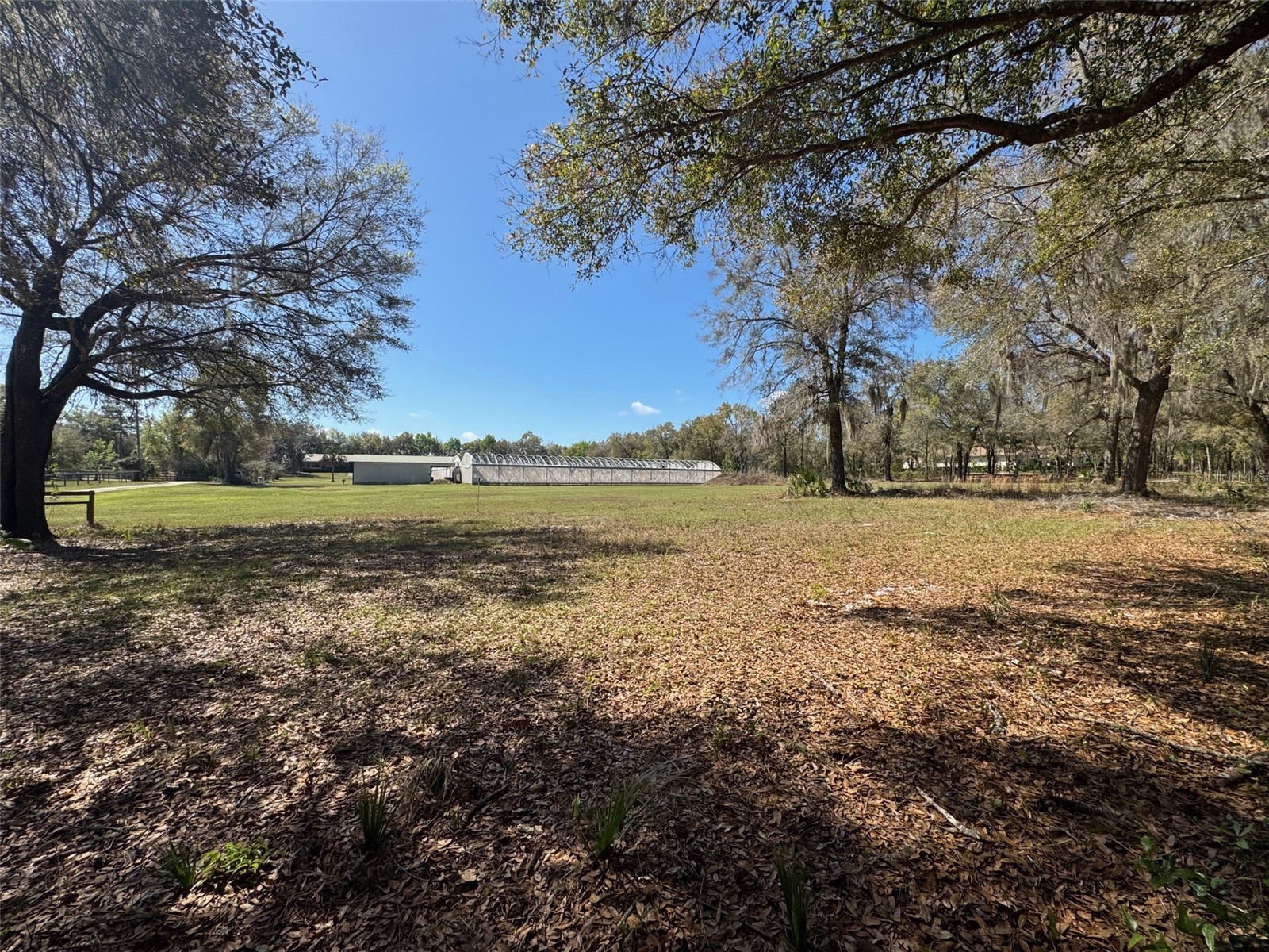 1065 S Massachusetts Avenue Deland FL 32724 V4947779 image10