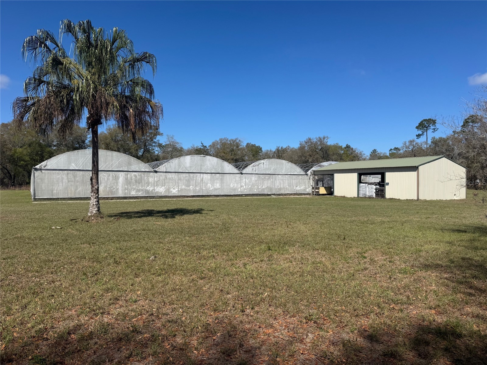 1065 S Massachusetts Avenue Deland FL 32724 V4947779 image11