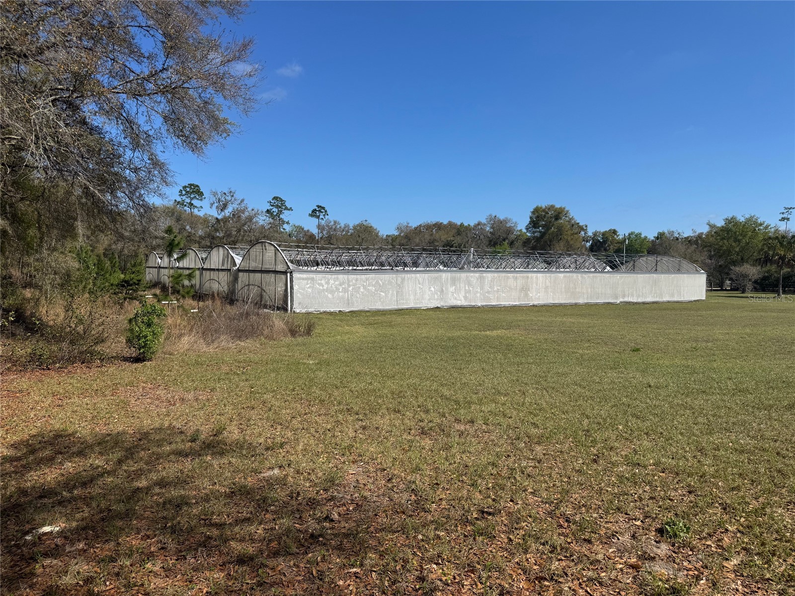 1065 S Massachusetts Avenue Deland FL 32724 V4947779 image14
