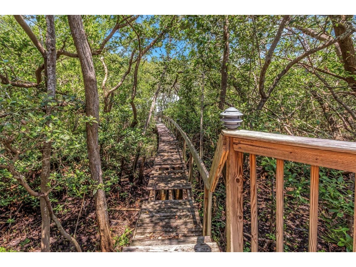 1065 Sable Court NE Saint Petersburg FL 33702 W7878146 image54