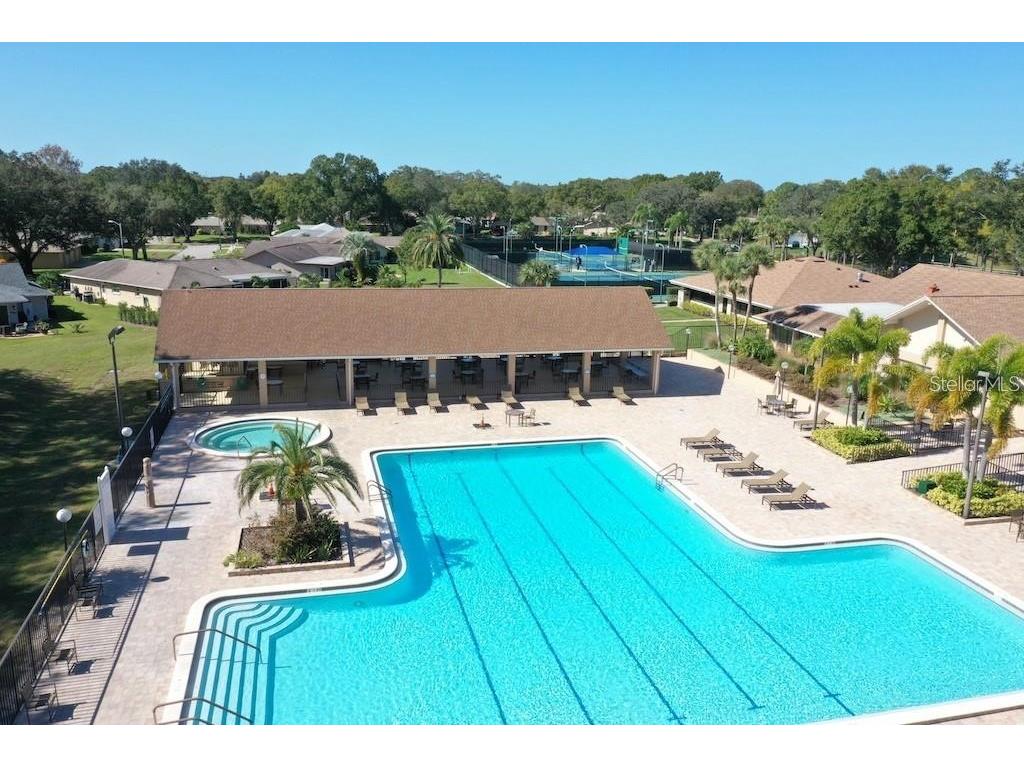 1065 Tartan Drive #C Palm Harbor FL 34684 - LAKE TARPON TB8435267 image2