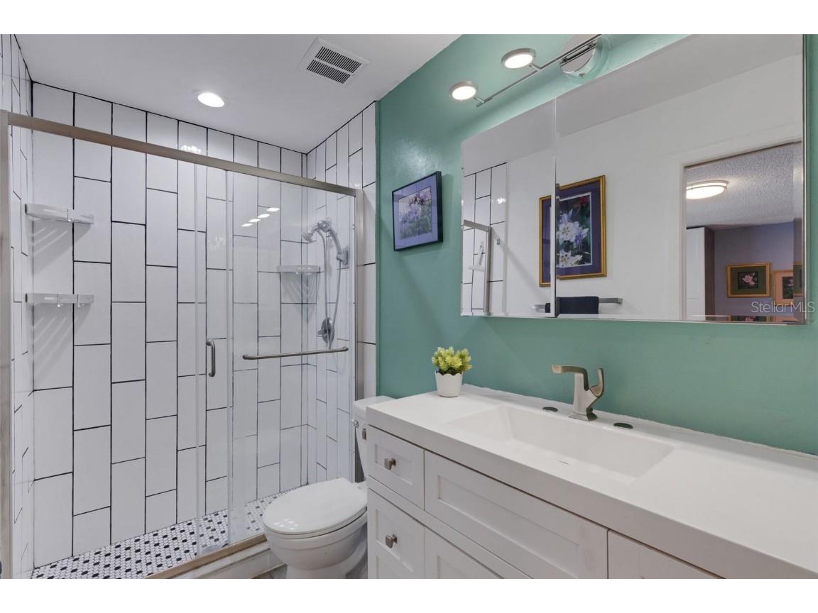 1065 Tartan Drive #C Palm Harbor FL 34684 - LAKE TARPON TB8435267 image34