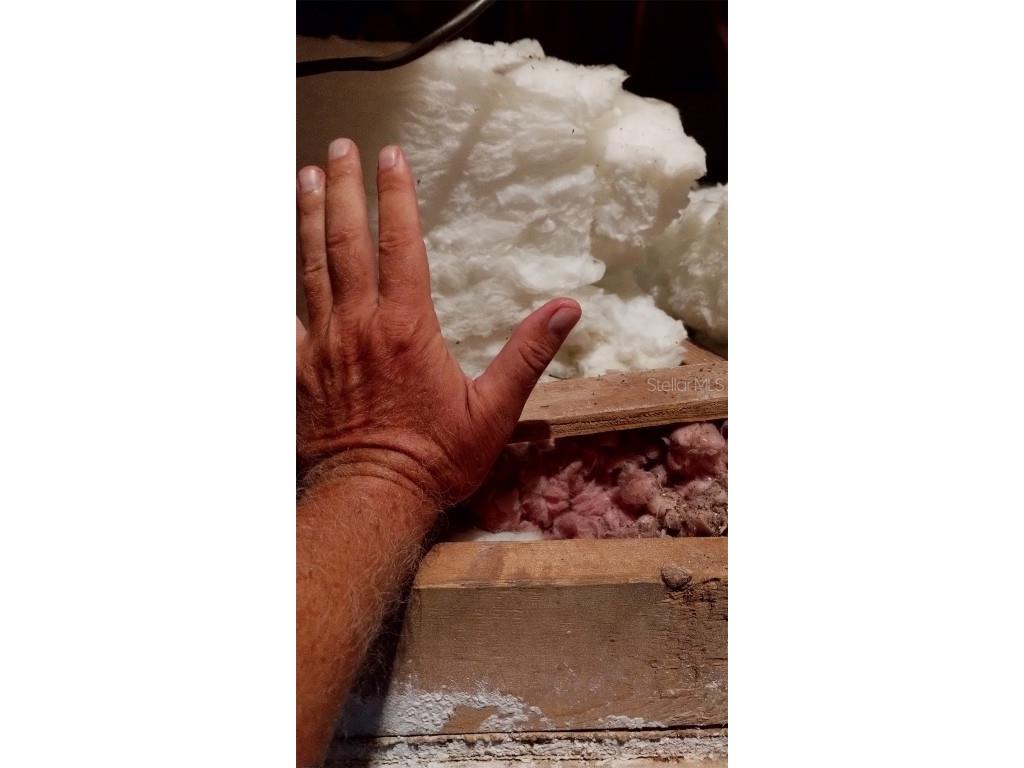 1065 Tartan Drive #C Palm Harbor FL 34684 - LAKE TARPON TB8435267 image43