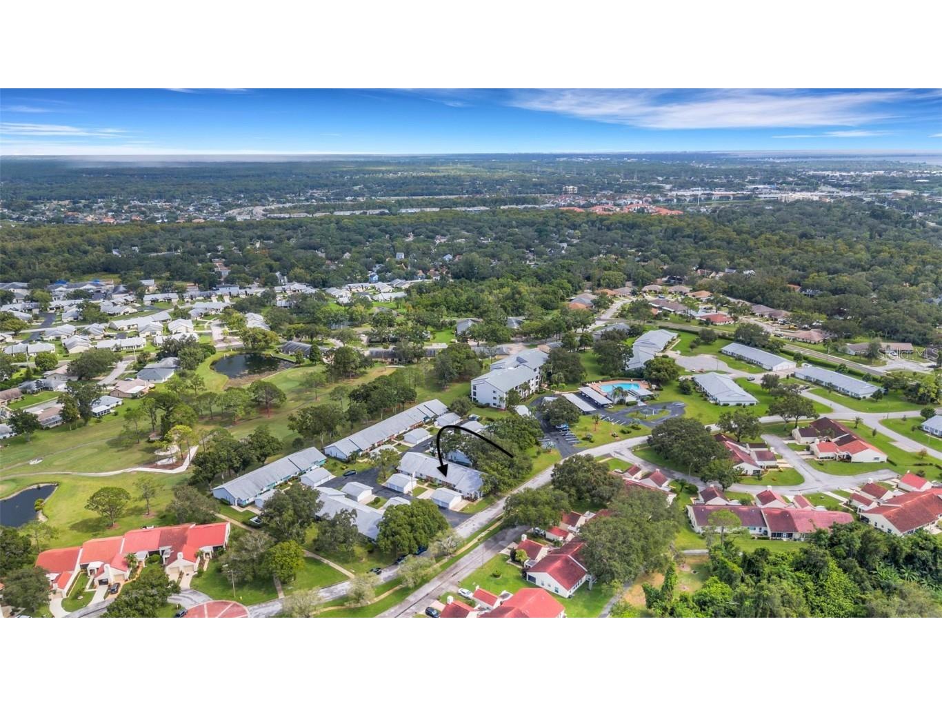 1065 Tartan Drive #C Palm Harbor FL 34684 - LAKE TARPON TB8435267 image45