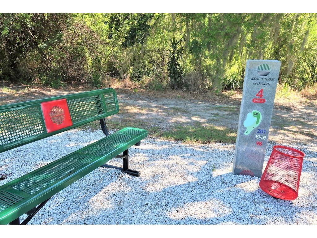 1065 Tartan Drive #C Palm Harbor FL 34684 - LAKE TARPON TB8435267 image51