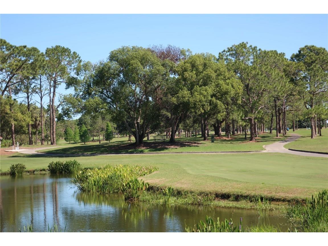 1065 Tartan Drive #C Palm Harbor FL 34684 - LAKE TARPON TB8435267 image53