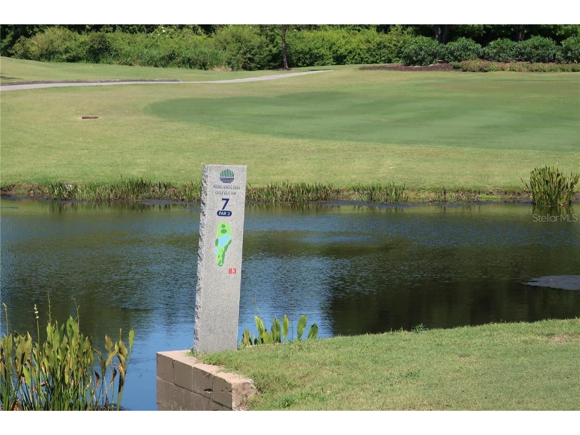 1065 Tartan Drive #C Palm Harbor FL 34684 - LAKE TARPON TB8435267 image54