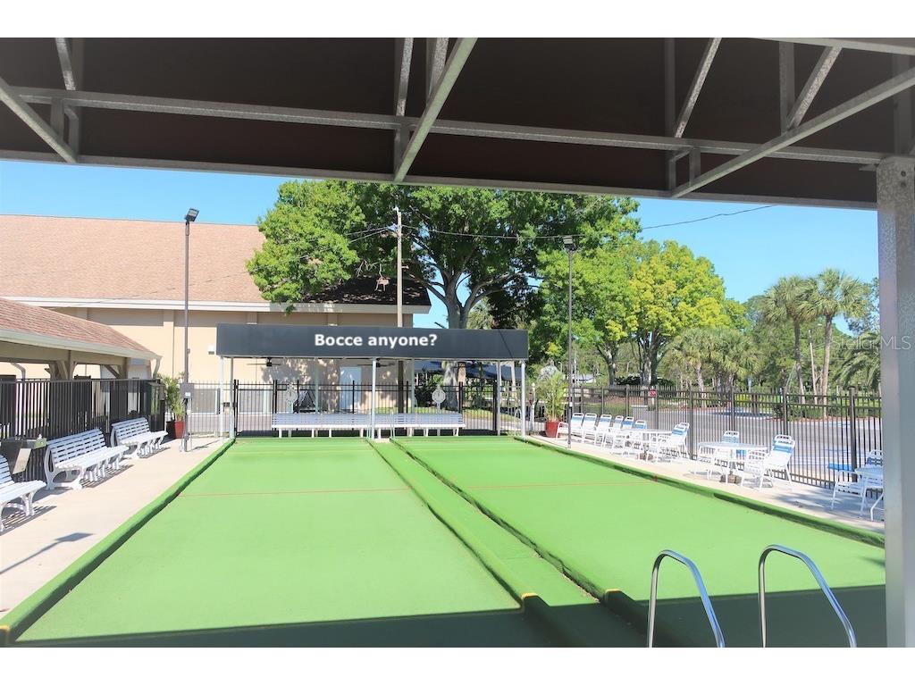 1065 Tartan Drive #C Palm Harbor FL 34684 - LAKE TARPON TB8435267 image61