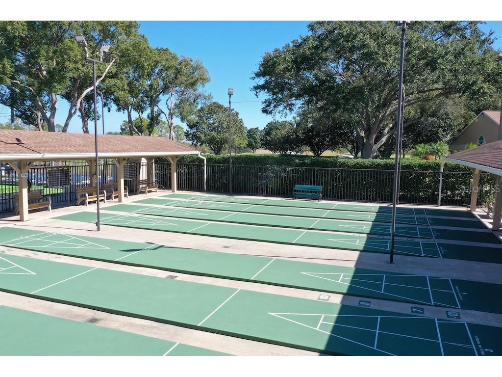 1065 Tartan Drive #C Palm Harbor FL 34684 - LAKE TARPON TB8435267 image62