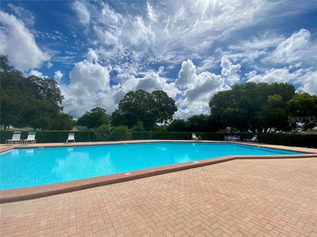 1065 Tartan Drive #C Palm Harbor FL 34684 - LAKE TARPON TB8435267 image88