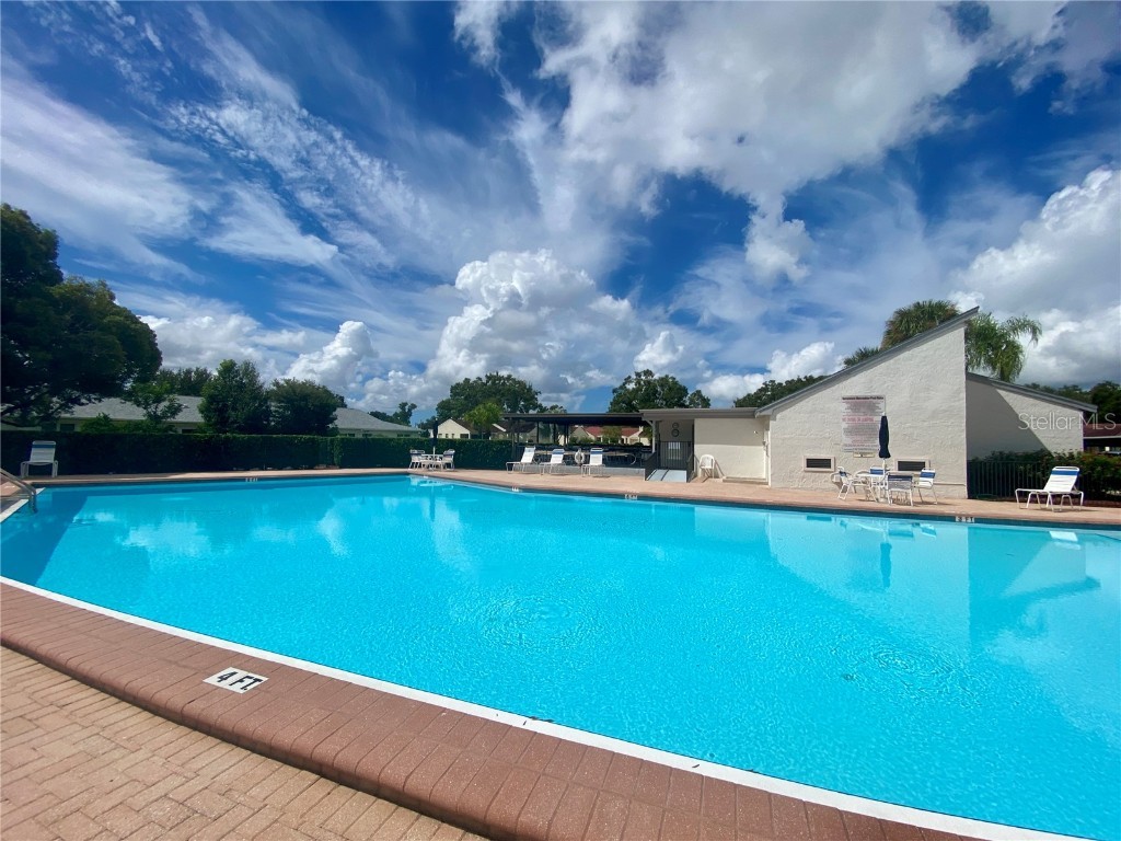 1065 Tartan Drive #C Palm Harbor FL 34684 - LAKE TARPON TB8435267 image89