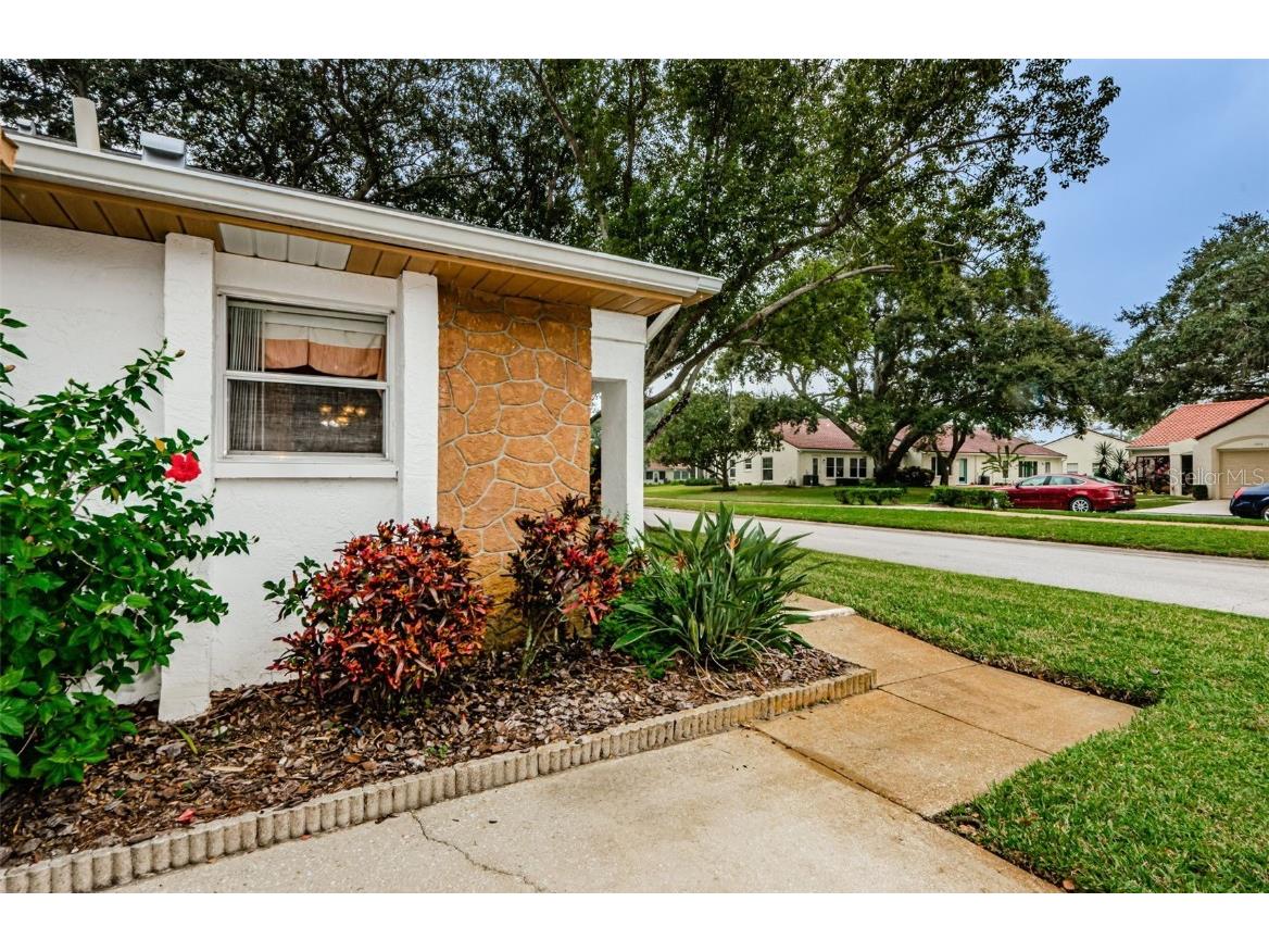 1065 Tartan Drive #D Palm Harbor FL 34684 - LAKE TARPON U8217309 image1