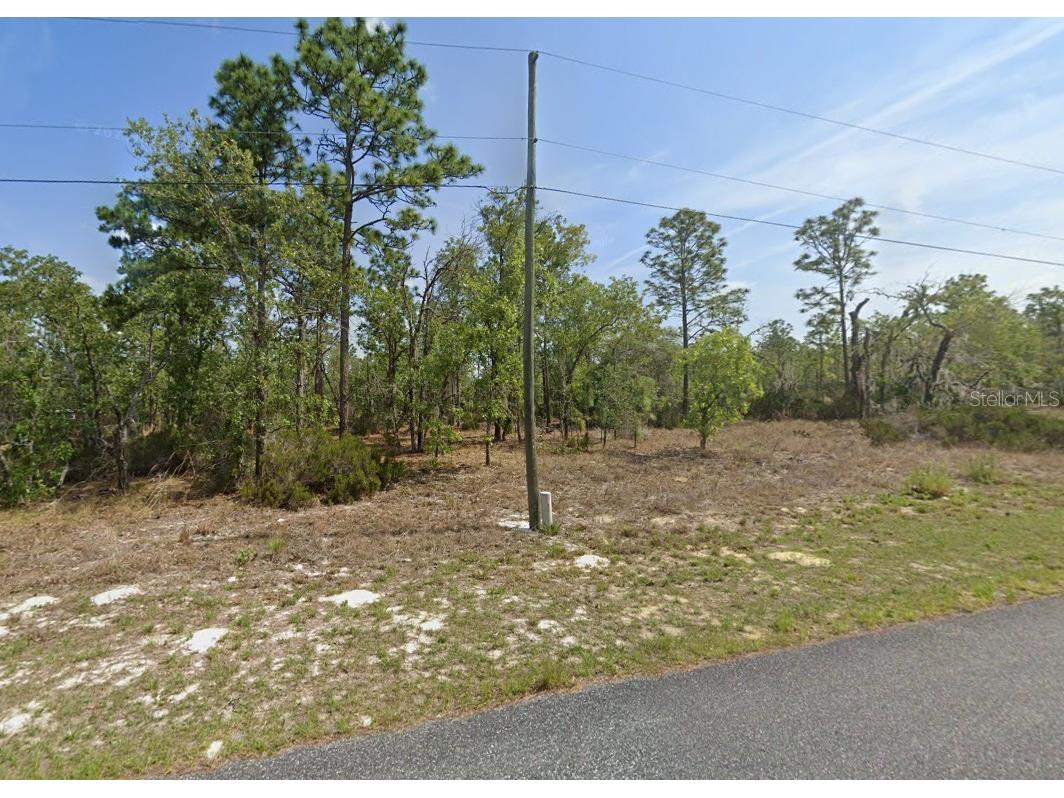 1065 W Ludlum Street Dunnellon FL 34434 TB8366615 image1