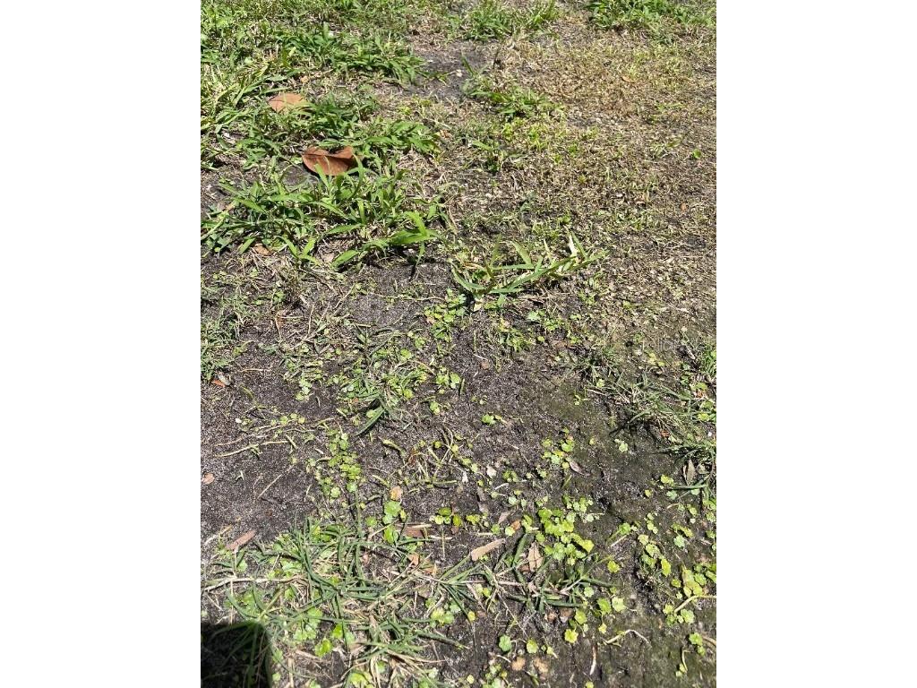 1065 Whispering Creek Way Osteen FL 32764 O6292496 image1