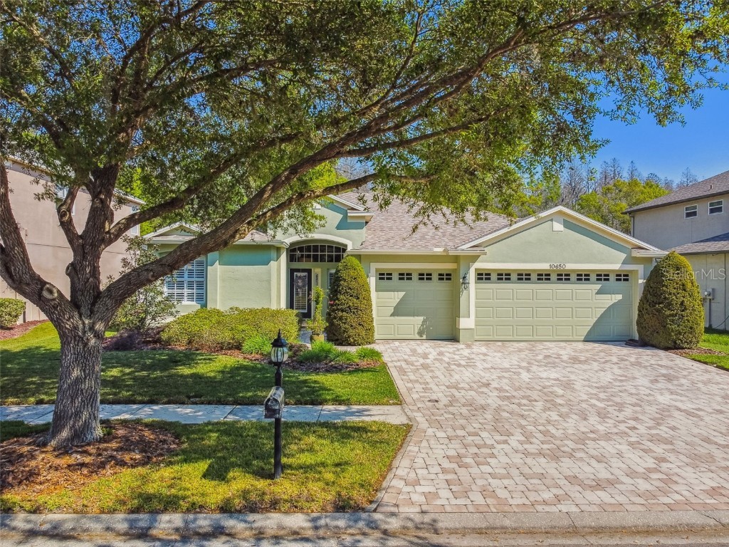10650 Grand Riviere Drive Tampa FL 33647 T3432702 image1