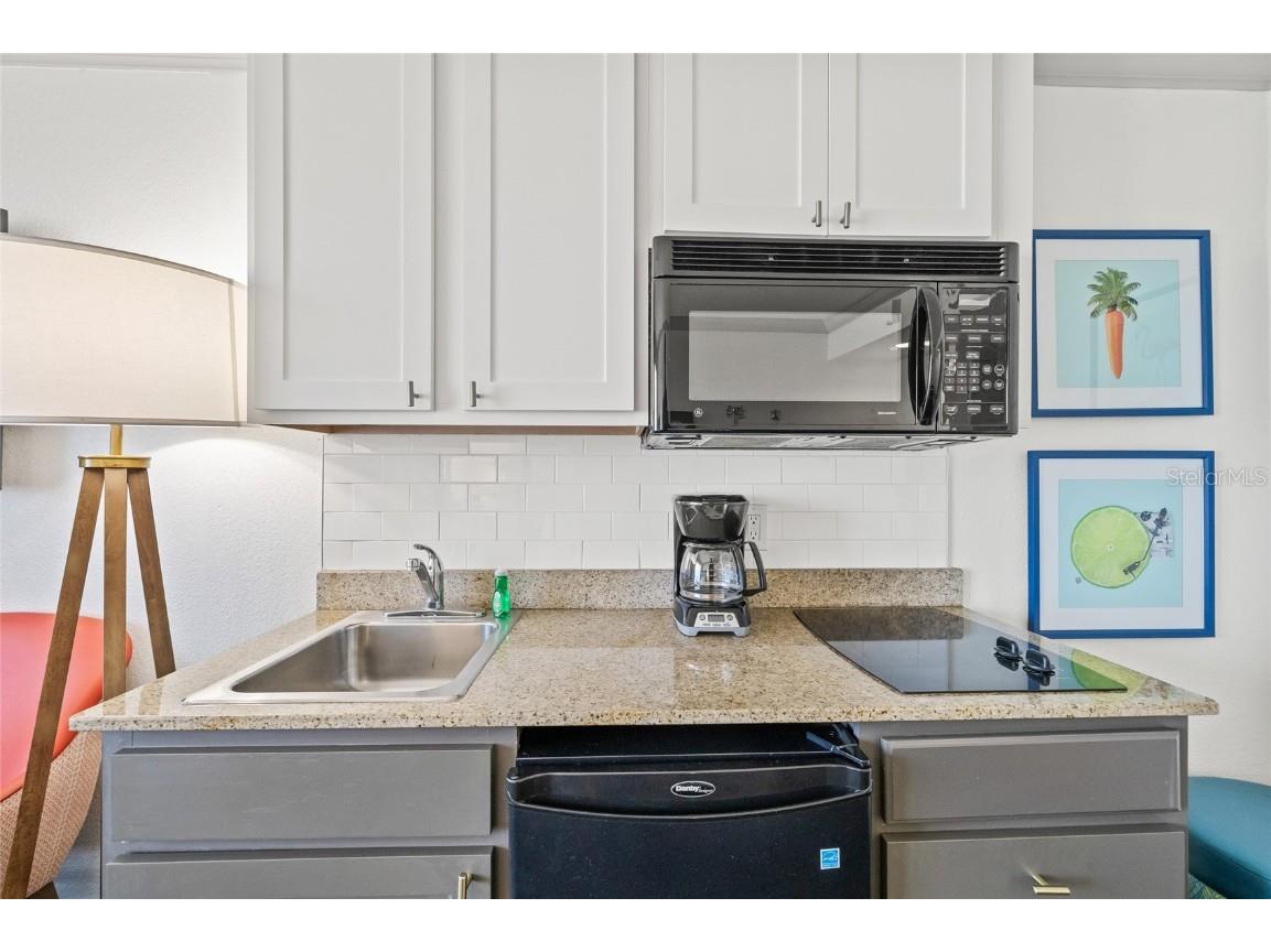 10650 Gulf Boulevard #541 Saint Petersburg FL 33706 - GULF OF MEXICO TB8440025 image35