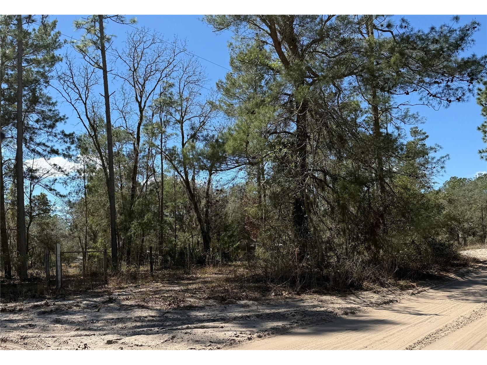 10650 NE 210th Street Fort Mc Coy FL 32134 TB8500082 image1