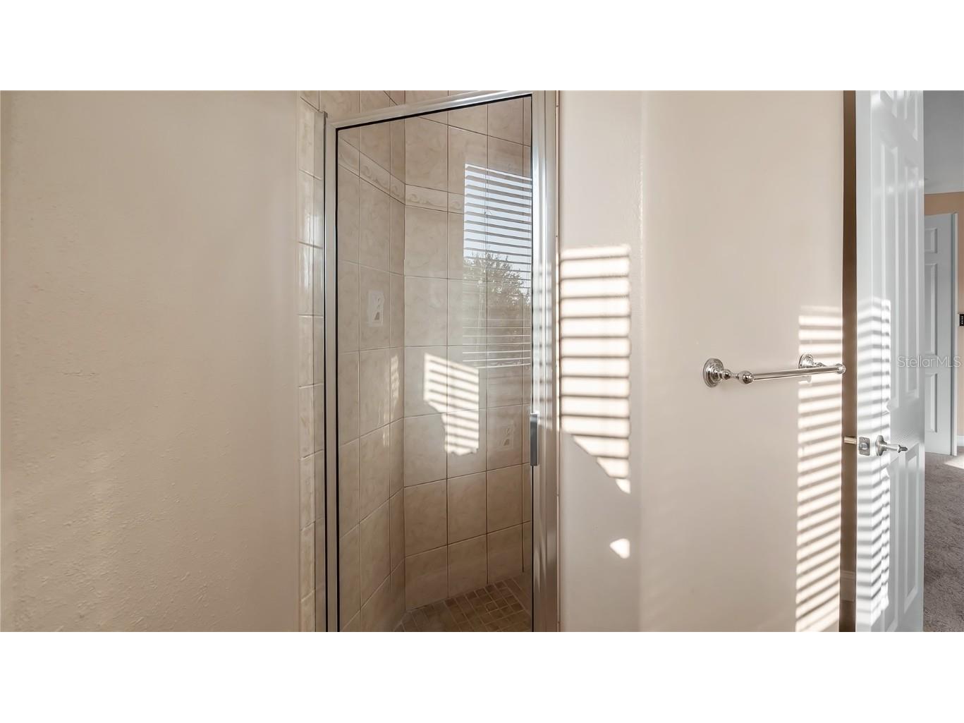 10651 Arrowtree Boulevard Clermont FL 34715 G5094911 image42