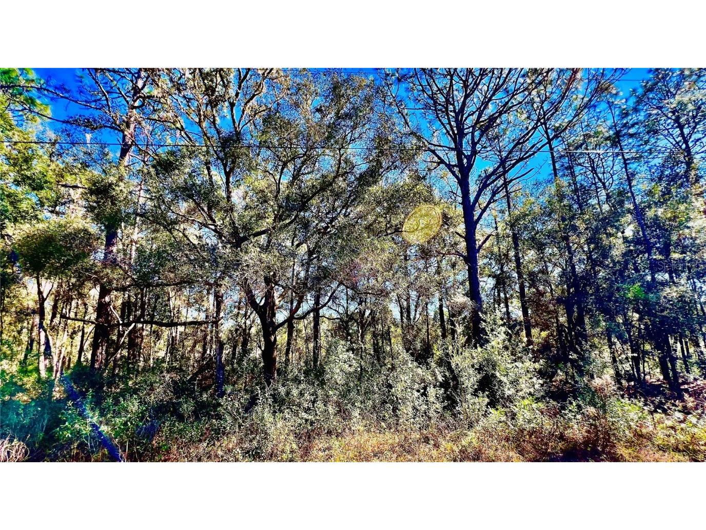 10651 N Mataro Avenue Citrus Springs FL 34434 OM671998 image1