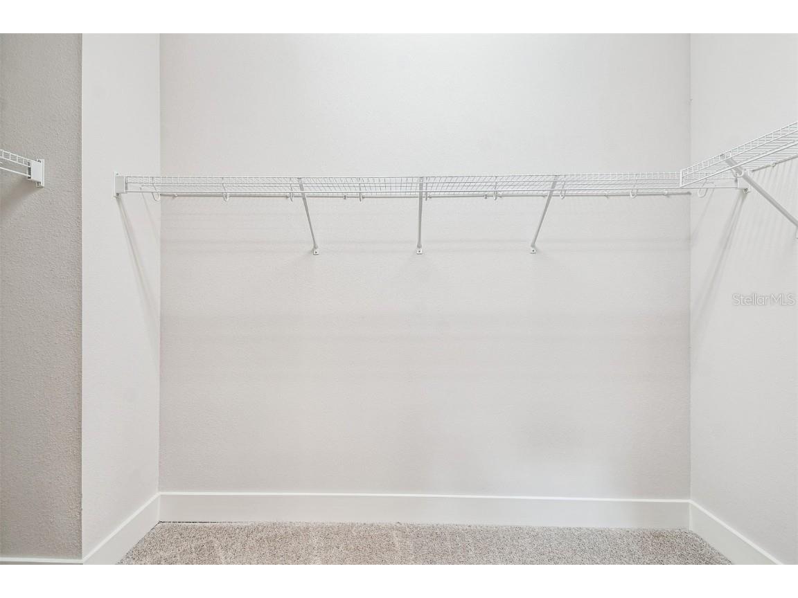 10653 Crescent Creek Crossing Parrish FL 34219 TB8421919 image23