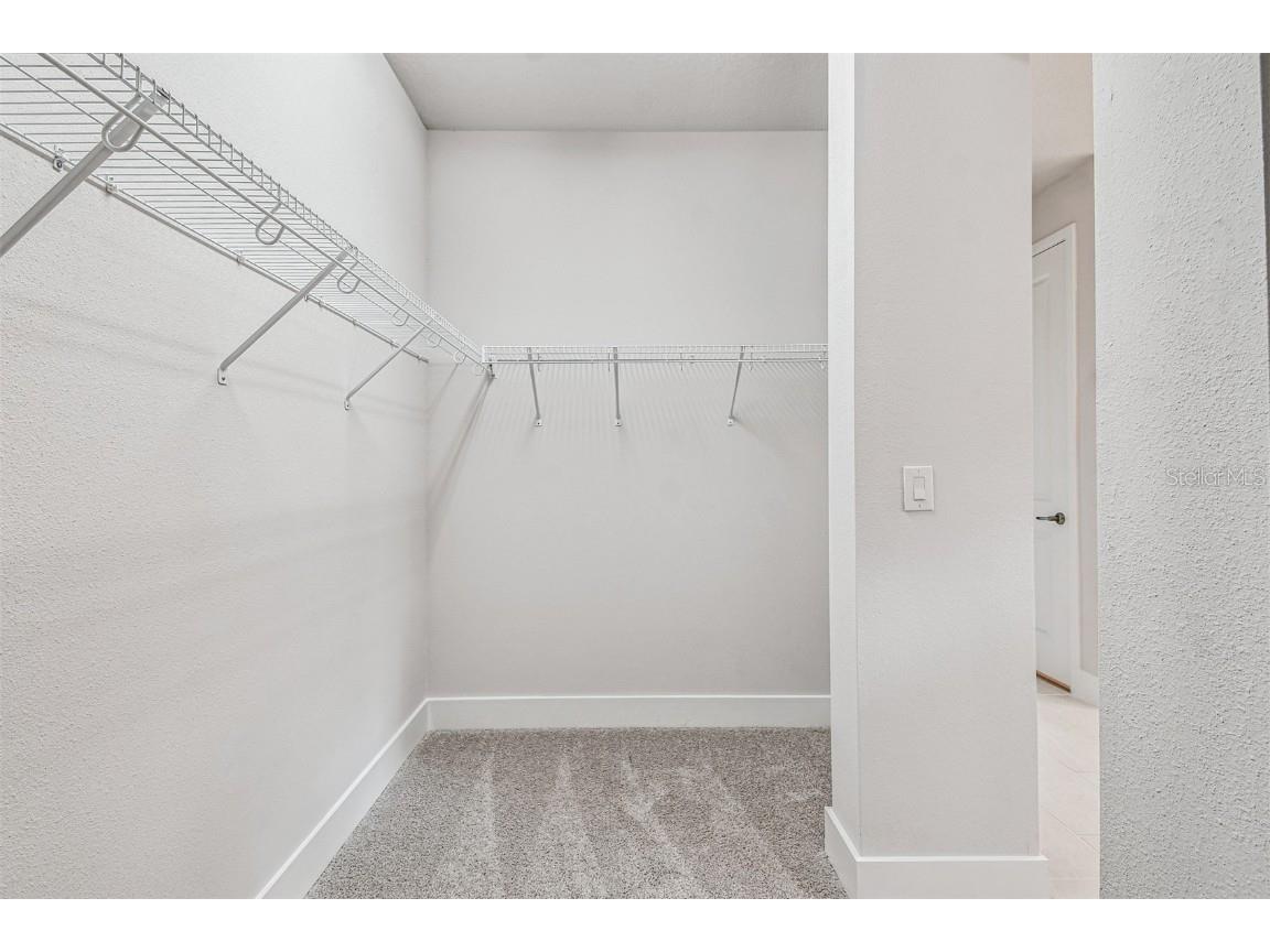 10653 Crescent Creek Crossing Parrish FL 34219 TB8421919 image24