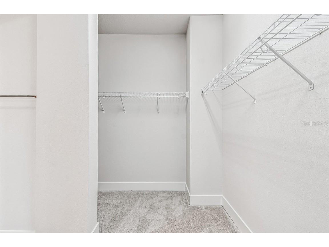 10653 Crescent Creek Crossing Parrish FL 34219 TB8421919 image25