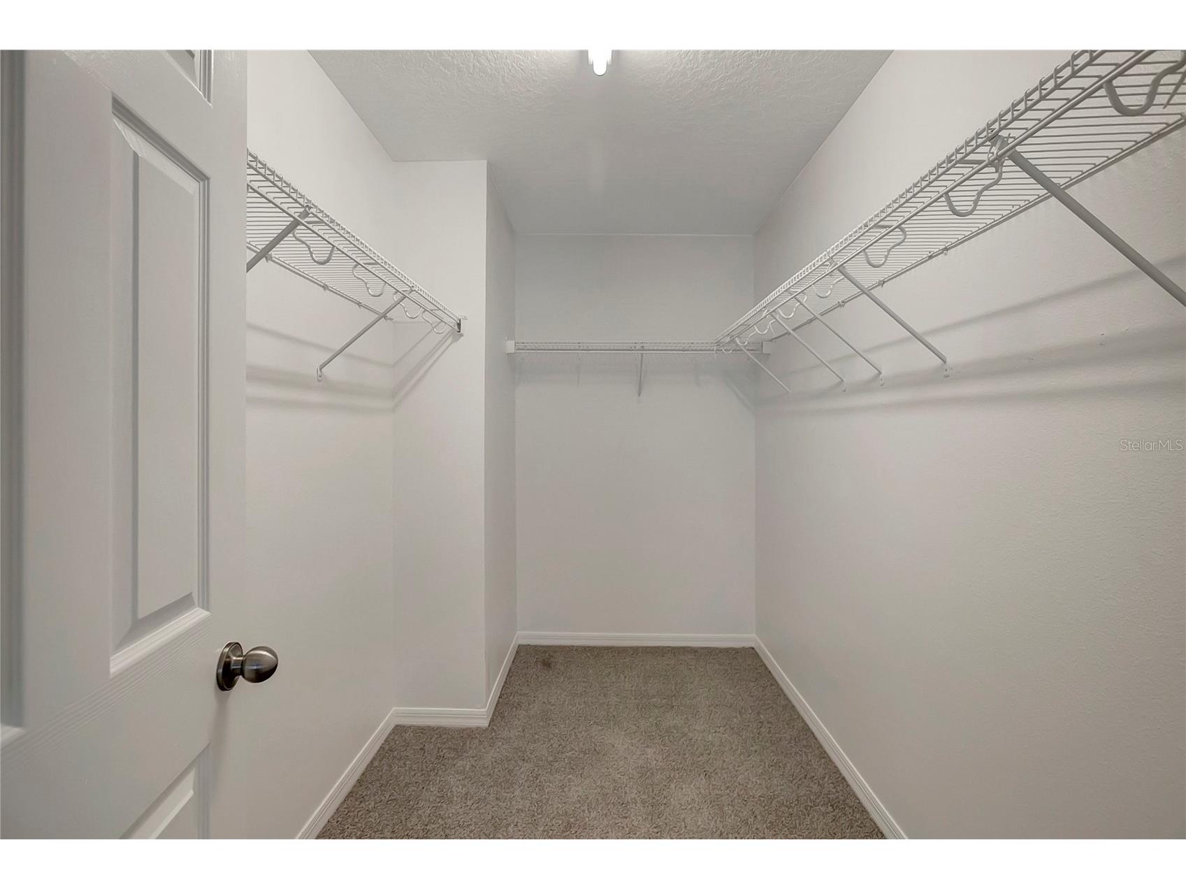 10653 Pictorial Park Drive Tampa FL 33647 TB8488323 image34