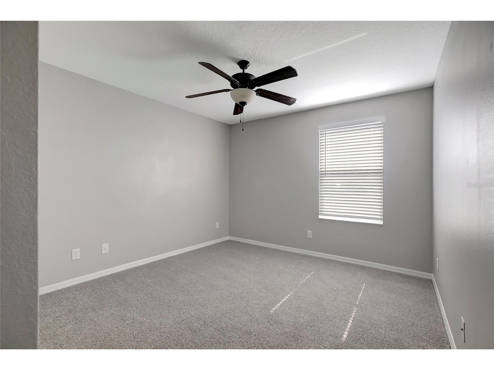 10653 Pictorial Park Drive Tampa FL 33647 TB8488323 image42