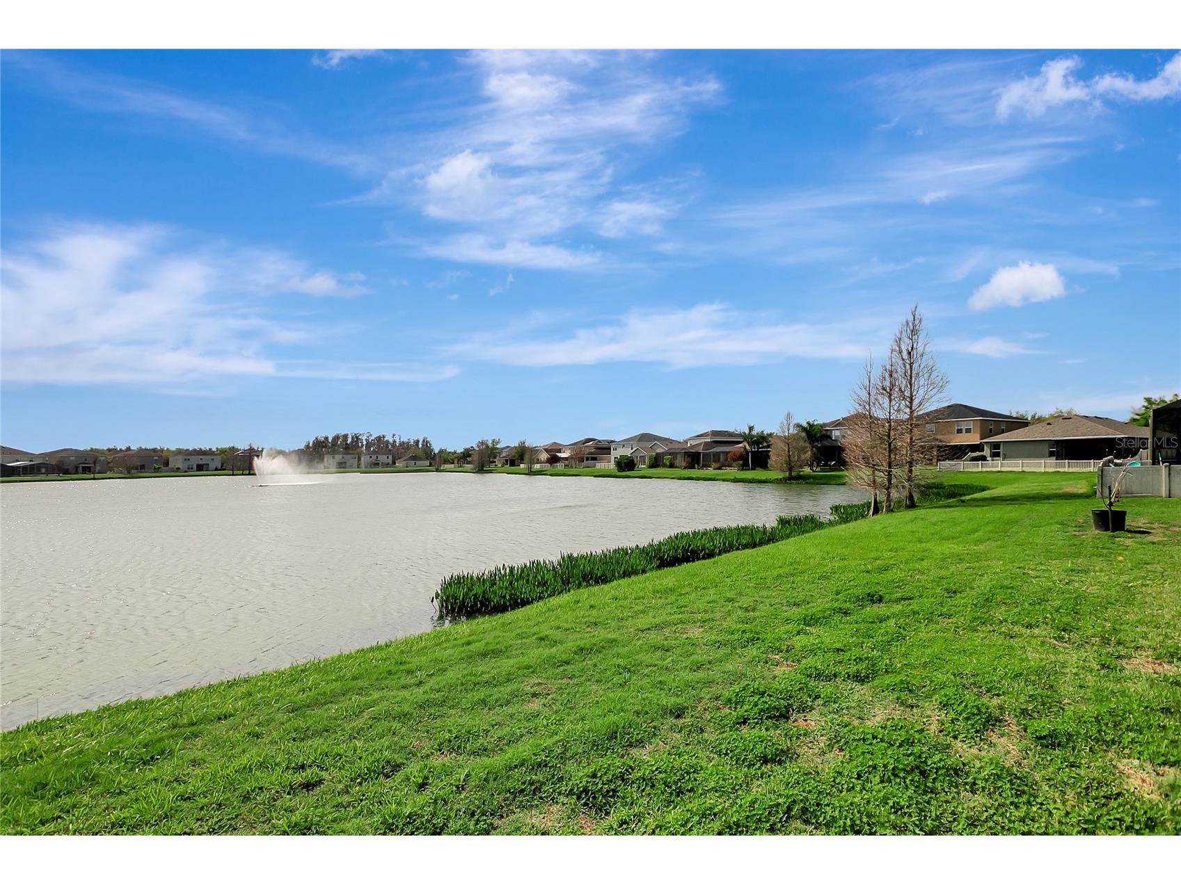 10653 Pictorial Park Drive Tampa FL 33647 TB8488323 image48