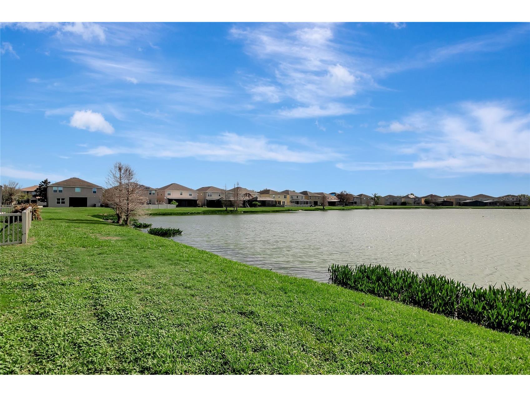 10653 Pictorial Park Drive Tampa FL 33647 TB8488323 image49