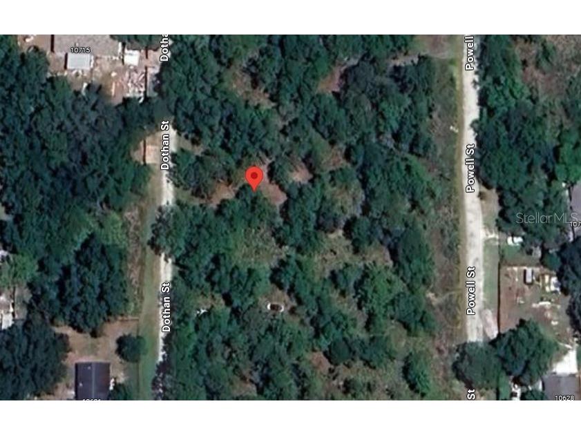 10654 Dothan Street New Port Richey FL 34654 OK224098 image1