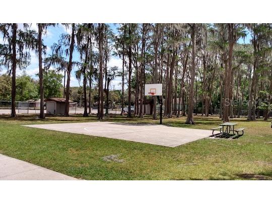 10654 Holgate Street New Port Richey FL 34654 W7876849 image41