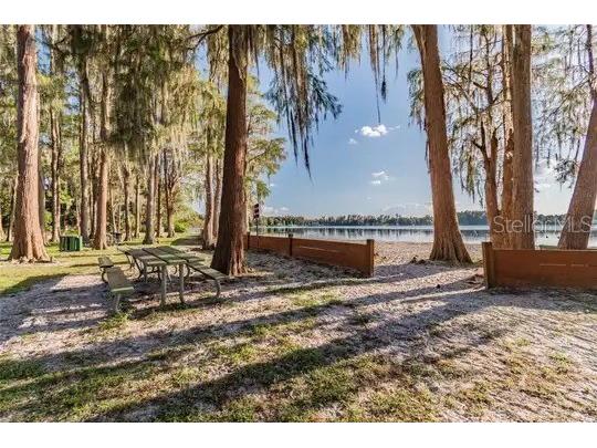 10654 Holgate Street New Port Richey FL 34654 W7876849 image42