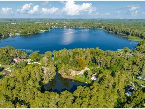 10654 Holgate Street New Port Richey FL 34654 W7876849 image43