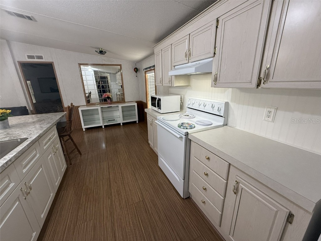 10654 Holgate Street New Port Richey FL 34654 W7876849 image8