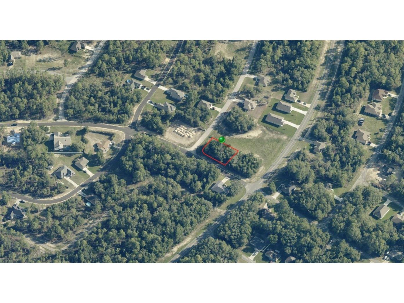 10655 N Dragonis Drive Citrus Springs FL 34434 OM709292 image1