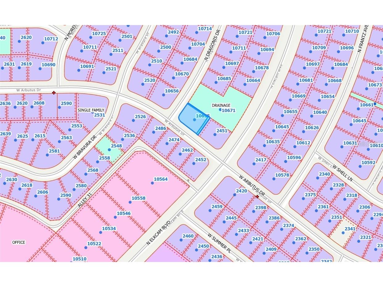 10655 N Dragonis Drive Citrus Springs FL 34434 OM709292 image2