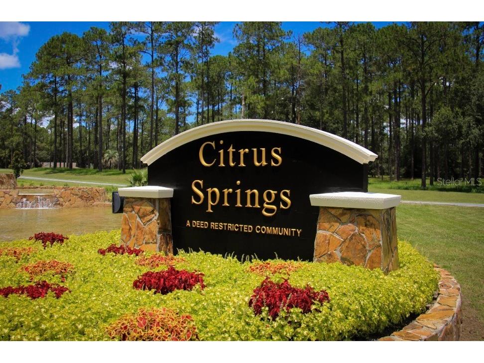 10655 N Dragonis Drive Citrus Springs FL 34434 OM709292 image3