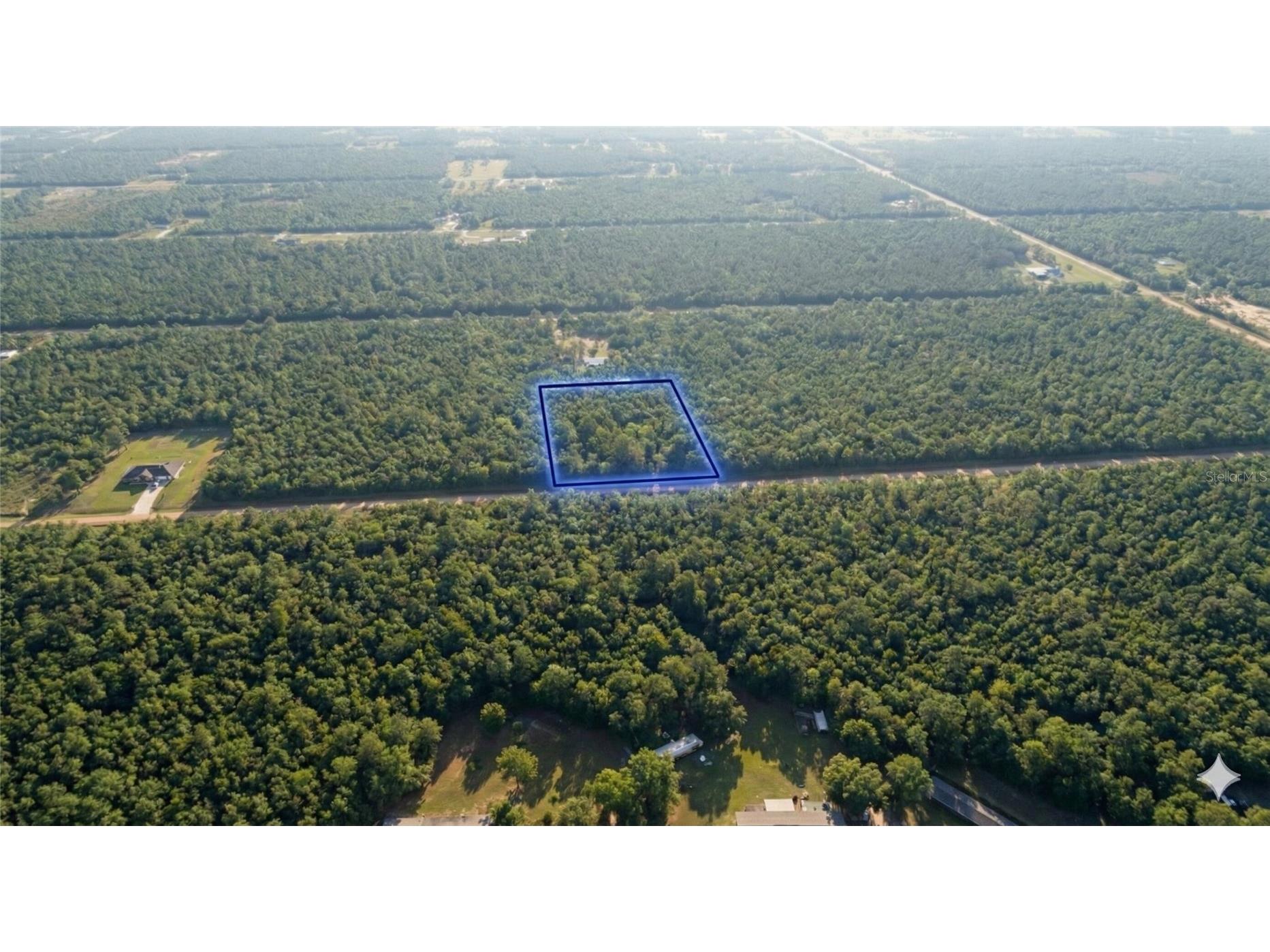 10655 Turpin Hastings FL 32145 OM719635 image1