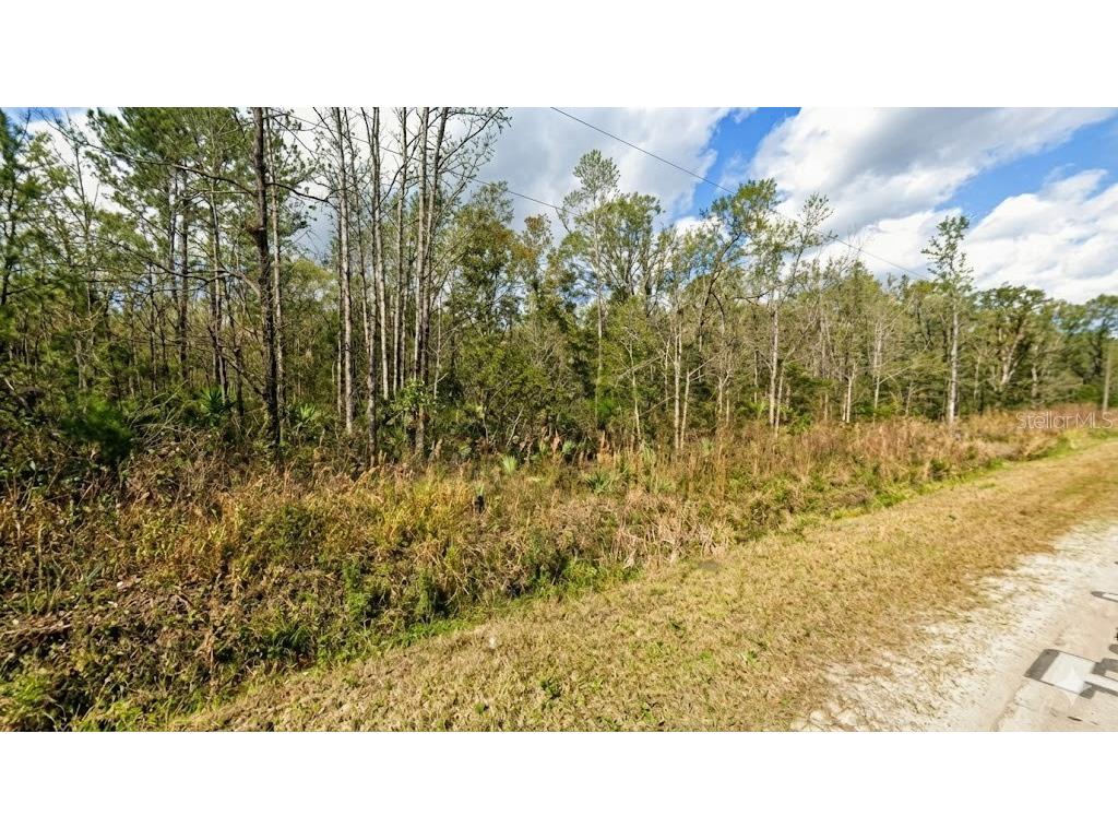 10655 Turpin Hastings FL 32145 OM719635 image3
