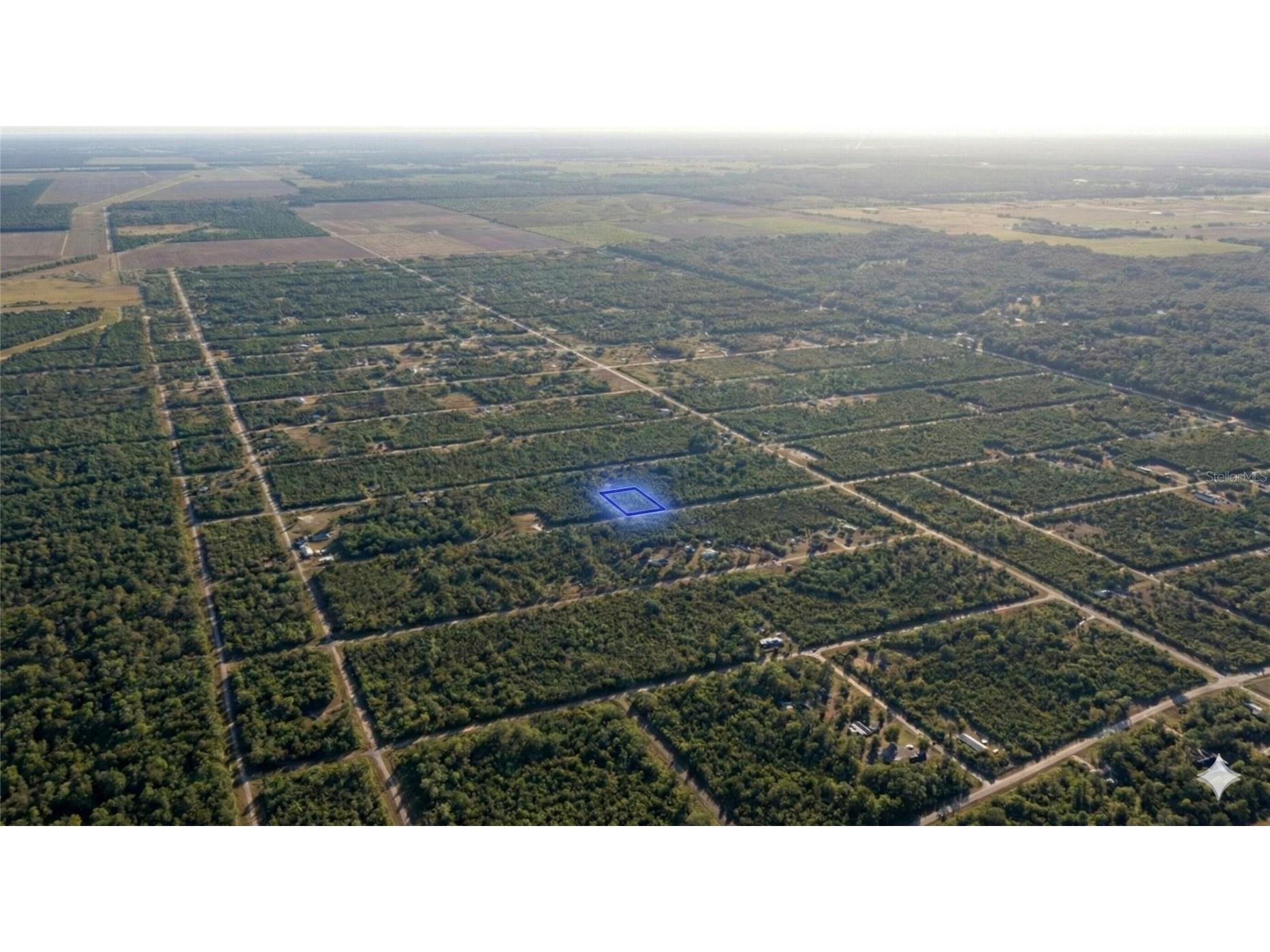 10655 Turpin Hastings FL 32145 OM719635 image6