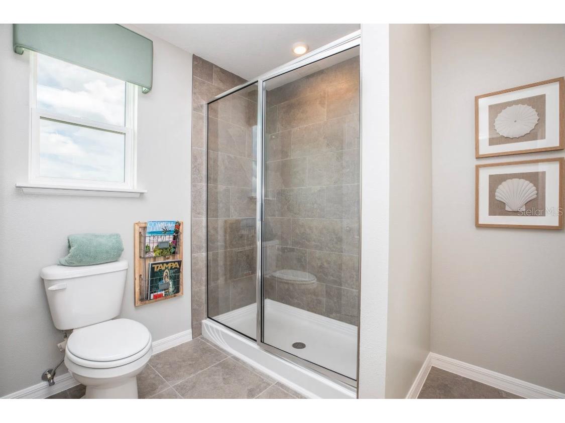 10657 Ironwood Tree Way San Antonio FL 33576 O6342900 image9