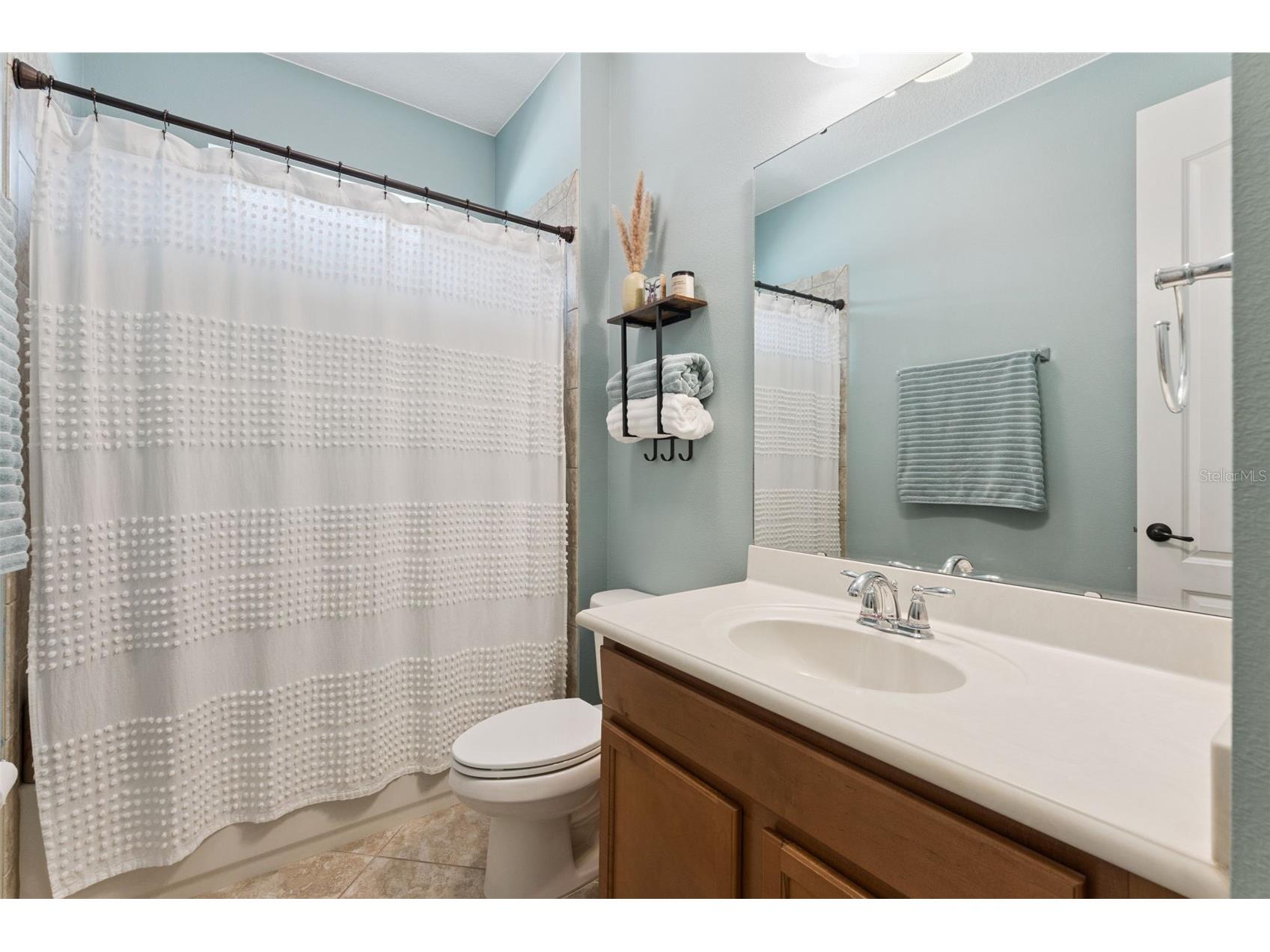 10659 Warlow Creek Street Orlando FL 32832 O6394842 image29