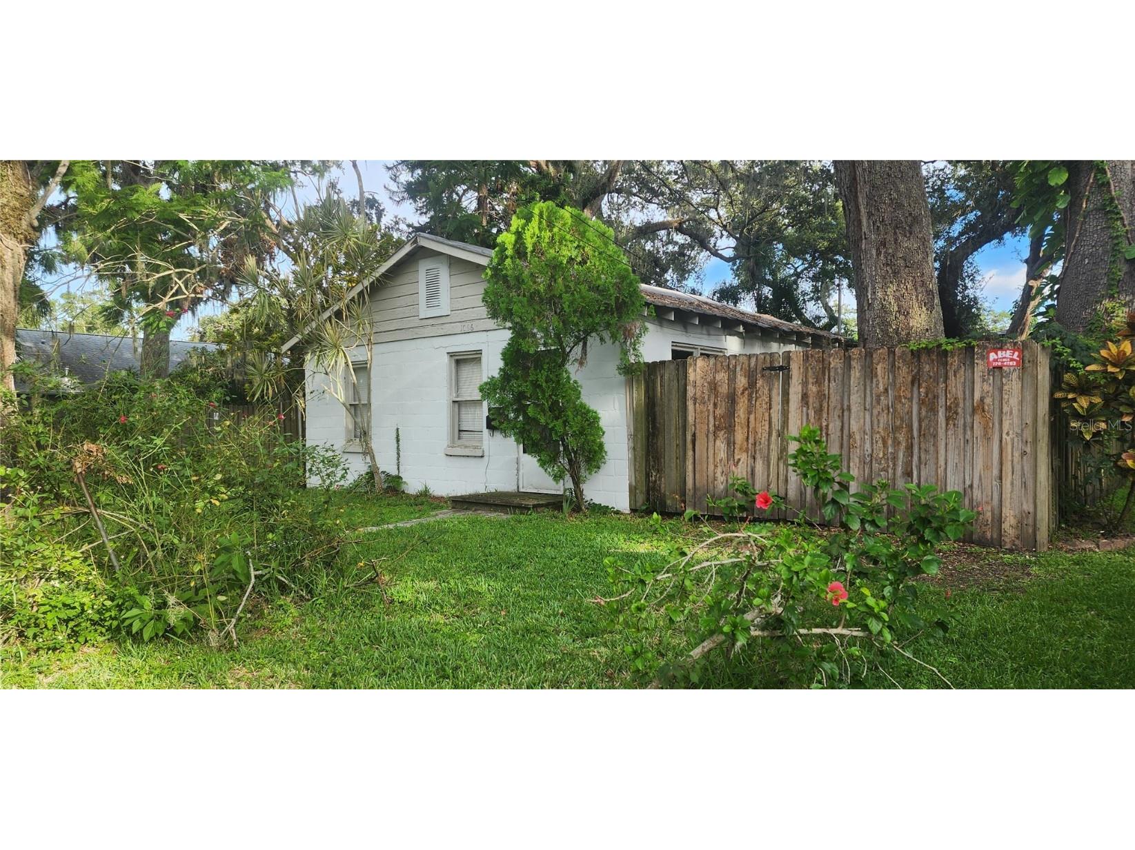 1066 3rd Street N Safety Harbor FL 34695 TB8413000 image4