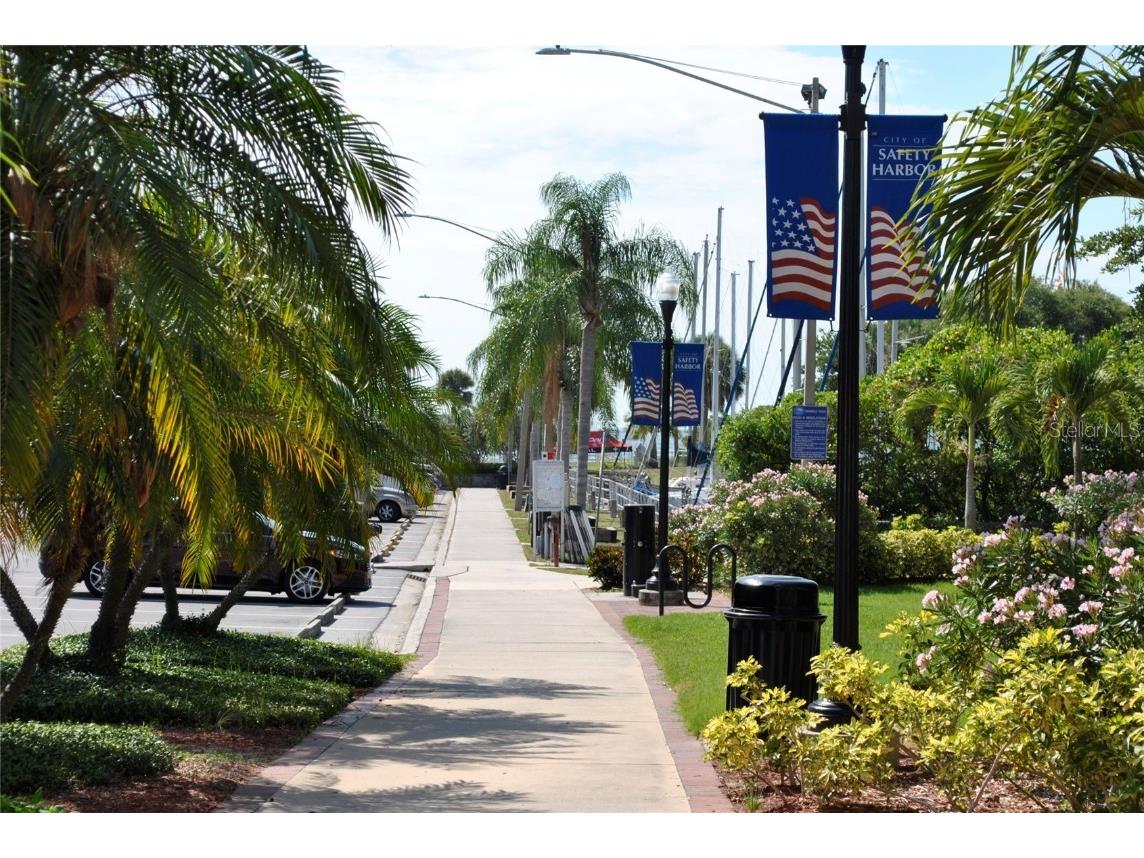 1066 3rd Street N Safety Harbor FL 34695 TB8413000 image7